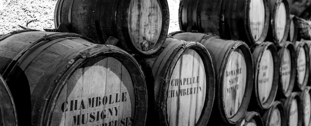 Chateau Du Petit Musigny A Chambolle Εξωτερικό φωτογραφία